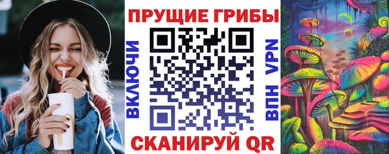 Галлюциногенные грибы Psilocybine cubensis  Демидов 